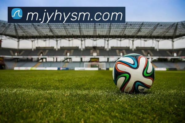 九游会j9发展历程